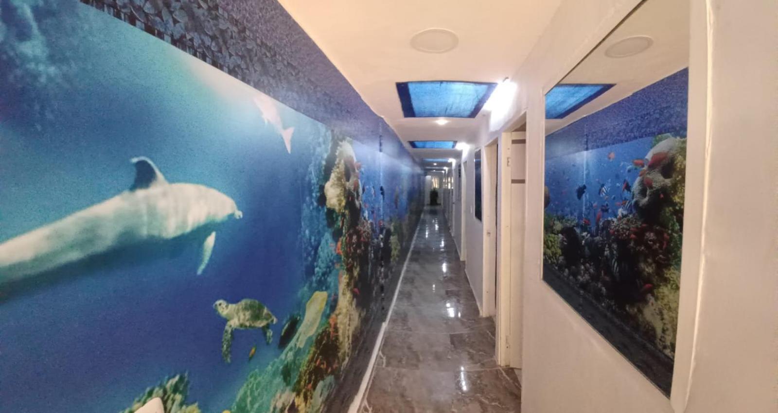 Hotel Dmauro — Photos 3